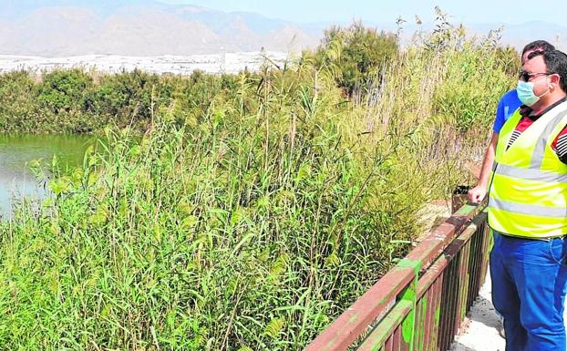 Ayuntamiento y UAL pondrán en valor los humedales como recurso turístico