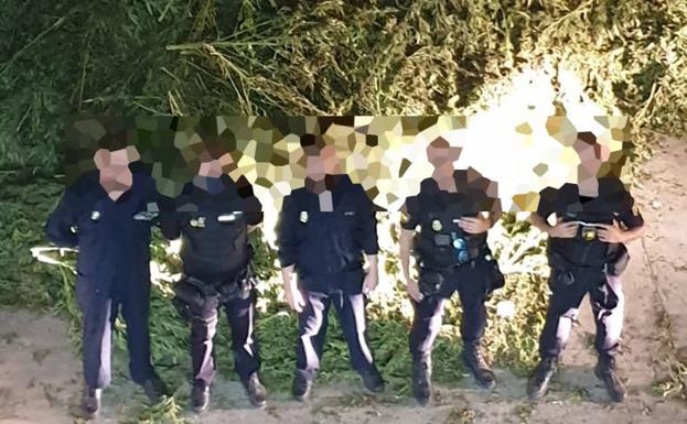 Incautan 10.170 plantas de marihuana en una nave industrial de El Ejido