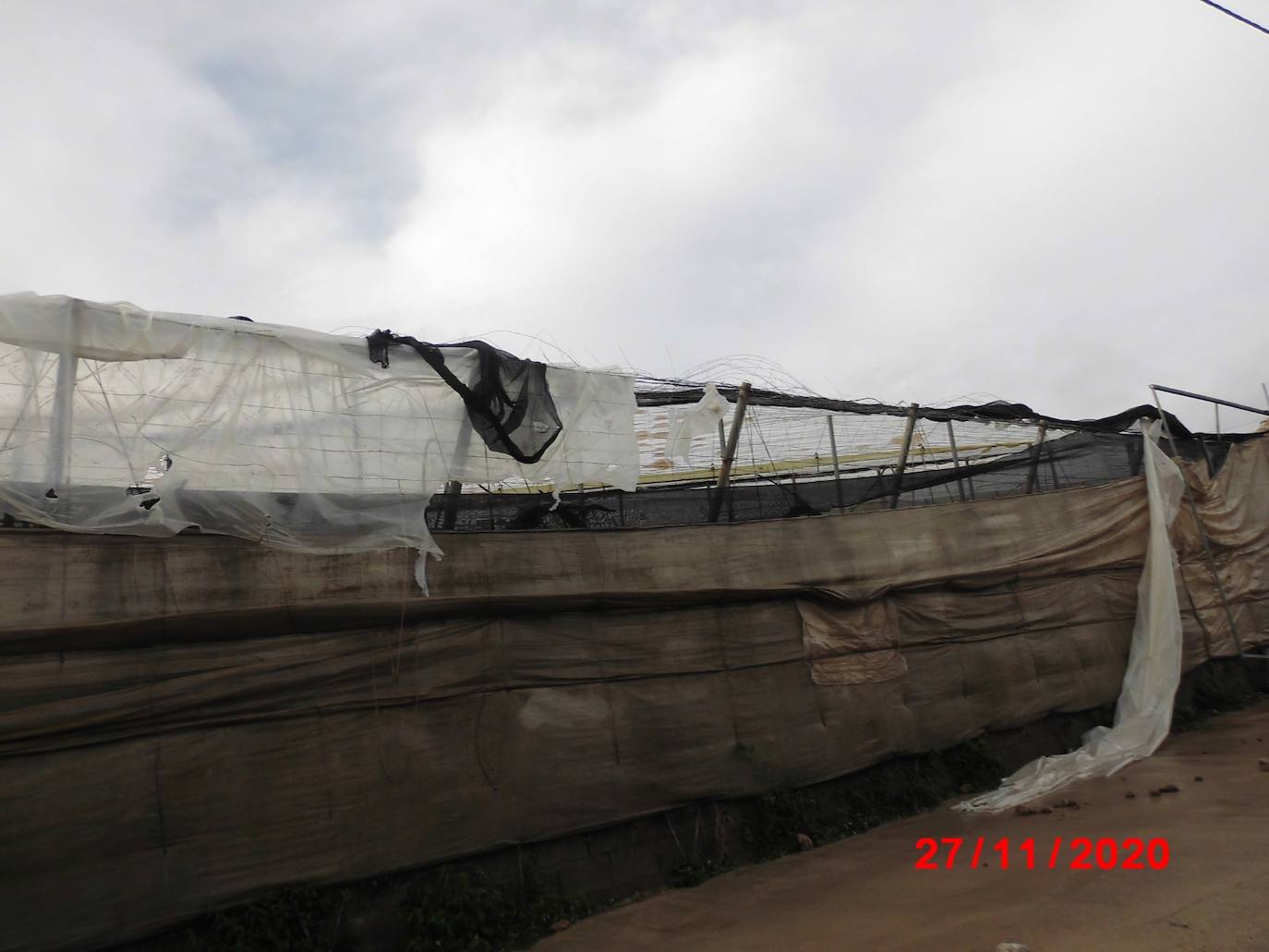 Daños en invernaderos de El Ejido por un remolino de viento