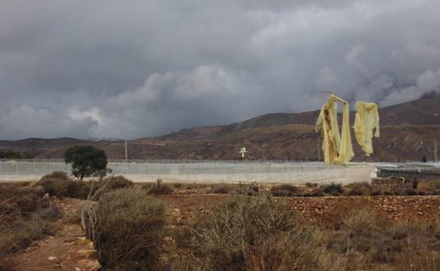 Un remolino de viento causa daños en unas diez hectáreas de invernaderos de El Ejido