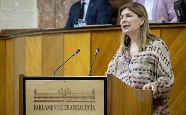El Parlamento andaluz aprueba una iniciativa para impulsar mejoras educativas en El Ejido