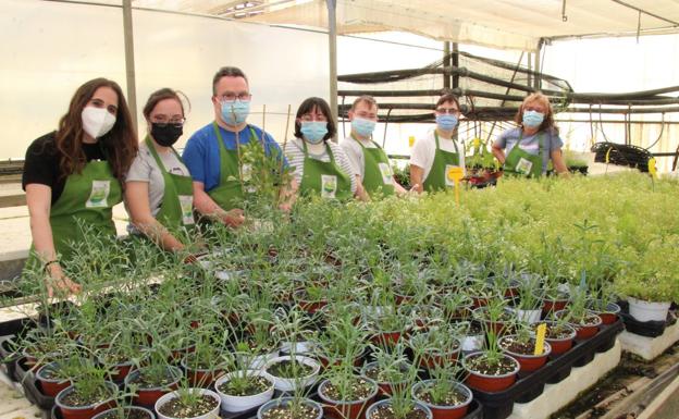 Down El Ejido escoge el ámbito agro para su primer Taller Ocupacional