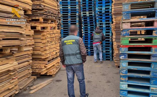 Roban más de 30.000 palets en una empresa hortofrutícola de Roquetas para revenderlos en El Ejido
