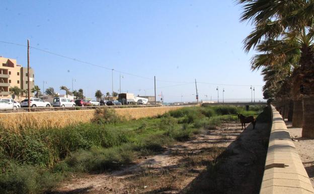 Ayuntamiento y UAL pondrán en valor la Rambla del Loco de Balerma