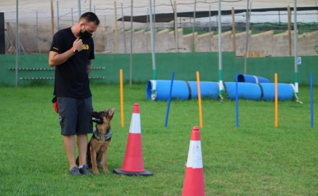 «Es más difícil enseñar al dueño que adiestrar a un perro»