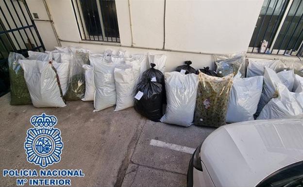 Desmantelada una trama internacional de tráfico de droga con sede en El Ejido
