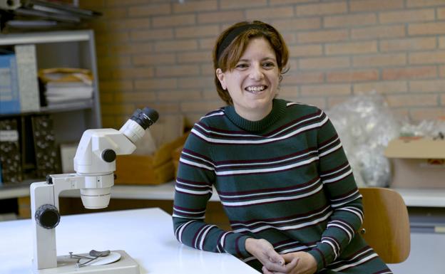 La UAL reconoce la investigación y puesta en valor del yacimiento arqueológico de Ciavieja