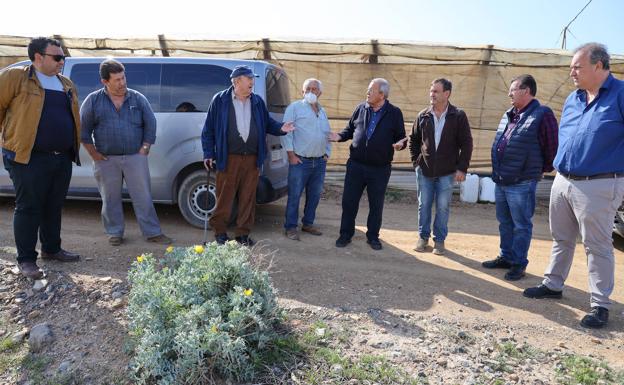 El Ayuntamiento trabaja en la evacuación de pluviales en el Paraje El Llano