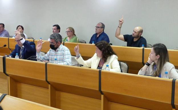Cs critica que el Plan de Playas 2022 siga sin contemplar una playa canina en el municipio