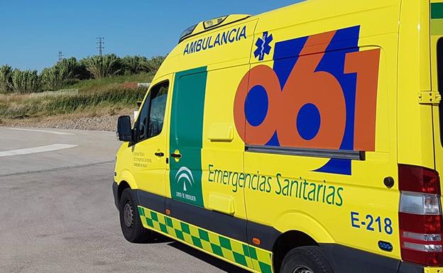 Herido grave un bebé de 14 meses tras ser mordido en la cara por un perro en El Ejido