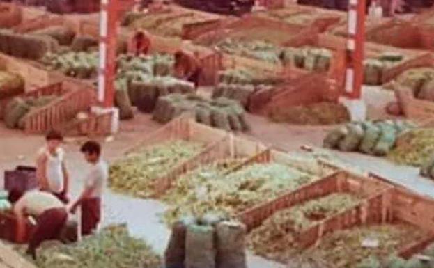 La agricultura del Campo de Dalías crece con la mano de obra de la Alpujarra
