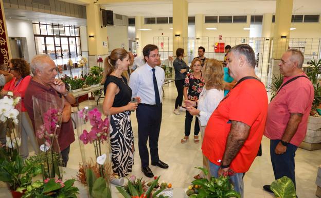 Los usuarios del Taller Ocupacional de Jardinería ponen a la venta sus plantas
