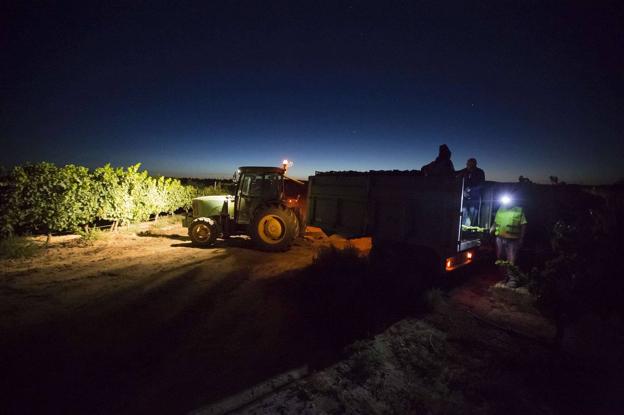 La noche no está de mala uva