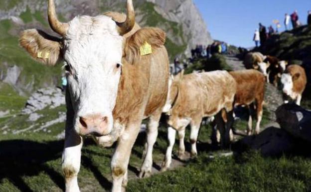 La ciudad uruguaya que alimentó al mundo