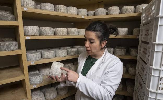 Queso de cabra, artesanal de campo y ecológico