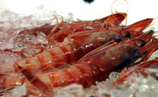 Una de gambas (rojas)