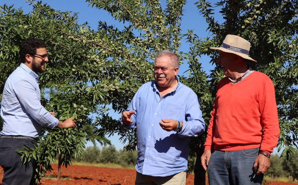 La almendra, el fruto seco más jugoso