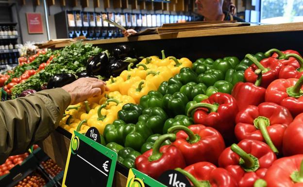 Pimientos: de la confusión inicial a la proliferación