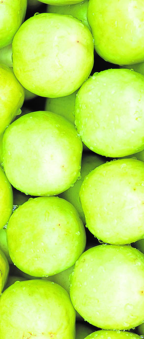 ¡No tocar la fruta! versus «Sírvete tú mismo»