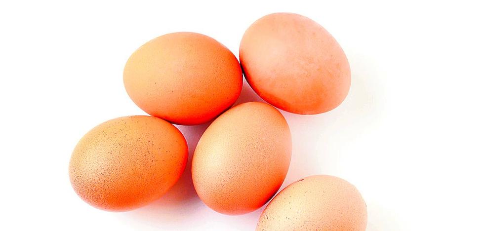 La importancia nutricional e histórica del huevo