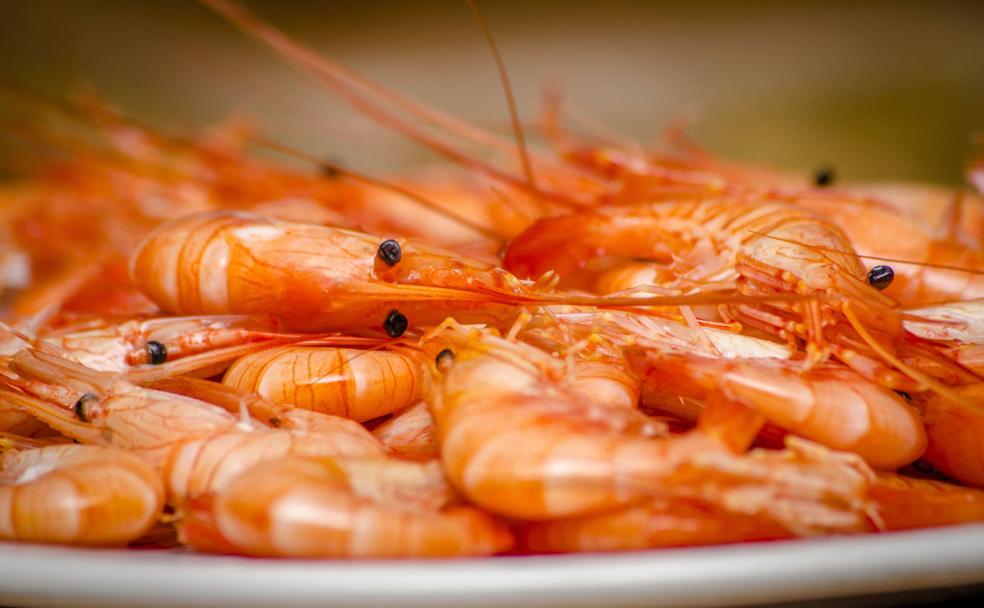 El marisco en la mesa, lujo, sabor y frescura en verano