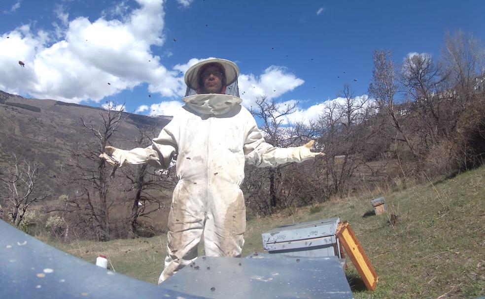 El pastor de abejas de Granada que hace miel de alta montaña