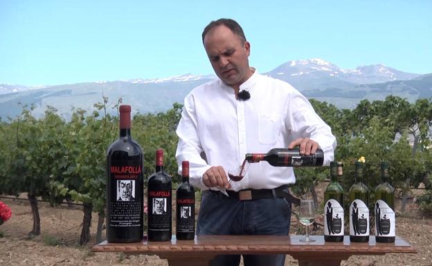 Vino granadino para potenciar los sabores locales