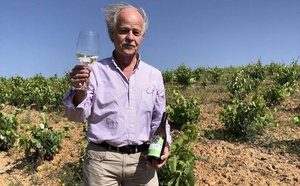 Vinos criados en Granada
