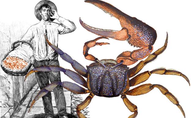 Las bocas de la Isla o las patas de quita y pon