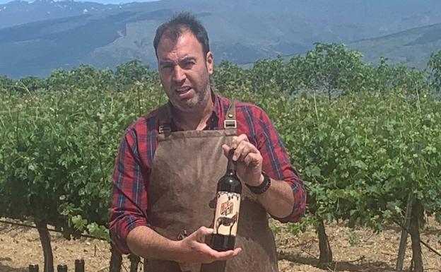 Haza del Lino, vinos de mucha altura