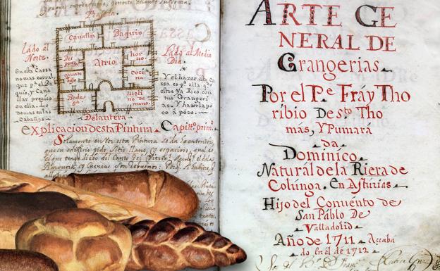 Fray Toribio y la trascendencia del pan