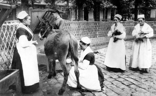 La milagrosa leche de burra, alimento y medicina