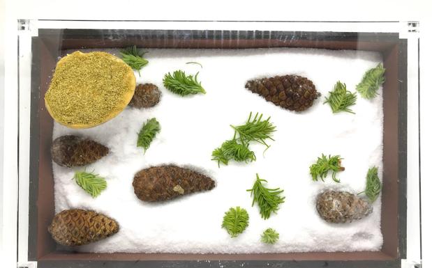 Garum: secretos de la personalidad culinaria