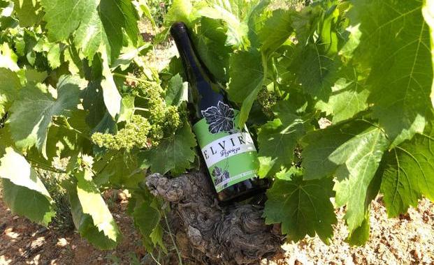 Vinos y yogures granadinos reciben galardones y reconocimientos por su calidad