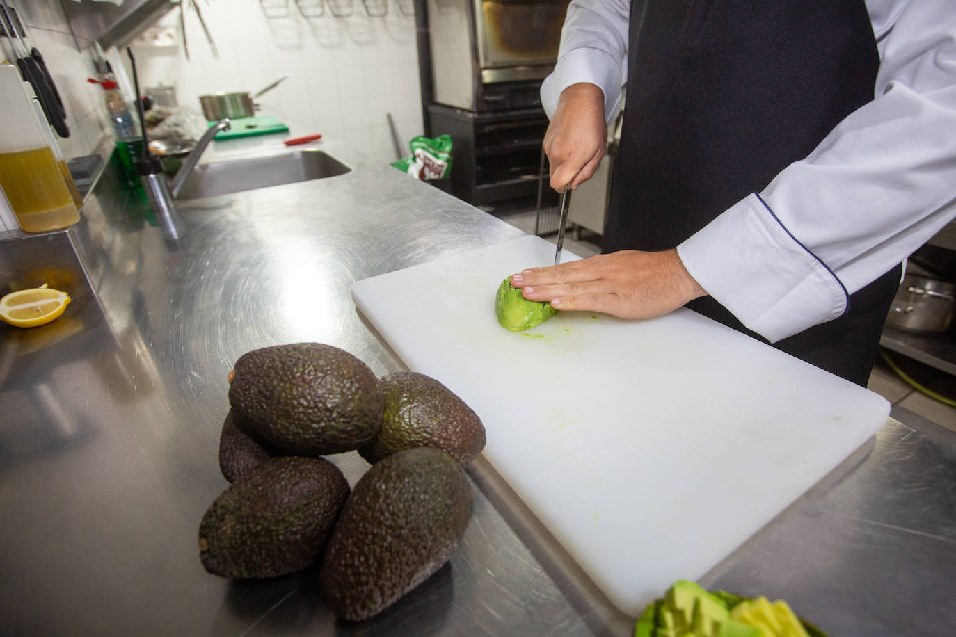 Aguacate, el caviar del campo