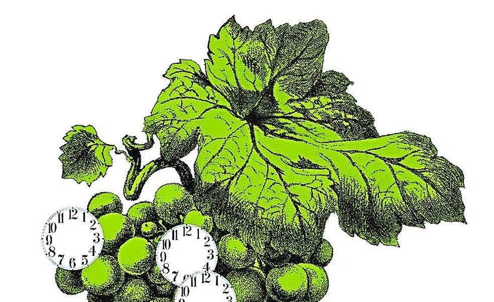 El Jardín de las Iguales… tan distinto