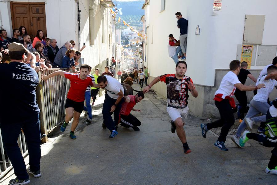 Todas las imágenes de los encierro de La Peza