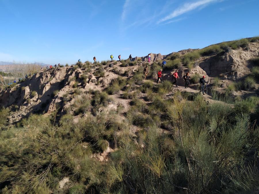 El Club Alpino Universitario recorre el Monte Pajarillo