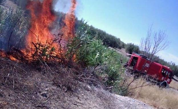 La Guardia Civil investiga a un hombre por un incendio forestal en Benalúa