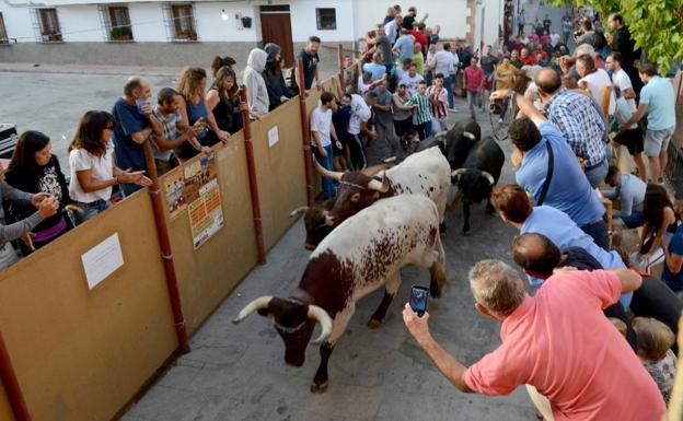 Gor celebra el primero de los tres encierros de sus fiestas