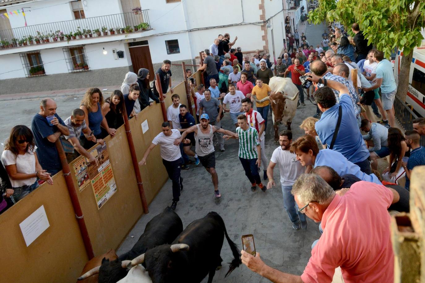 Gor celebra su primer encierro