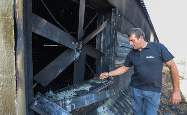 Un incendio calcina 25.000 pollos en La Calahorra y deja pérdidas de 200.000 euros