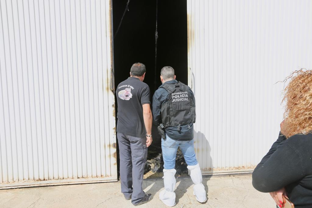 Así ha quedado la granja de pollos de La Calahorra tras el incendio que ha matado a 25.000 aves
