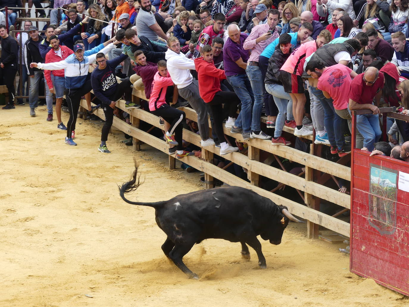 Así se han vivido los festejos taurinos de Jérez del Marquesado