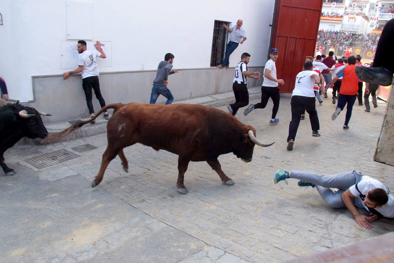 Las mejores fotos de los encierros taurinos de La Peza