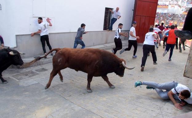 Dos heridos graves en la novillada de La Peza, uno de ellos un espectador
