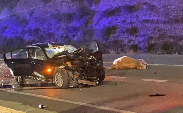 Cuatro personas heridas leves tras el atropello de un grupo de becerros sueltos en la Cuesta de Purullena