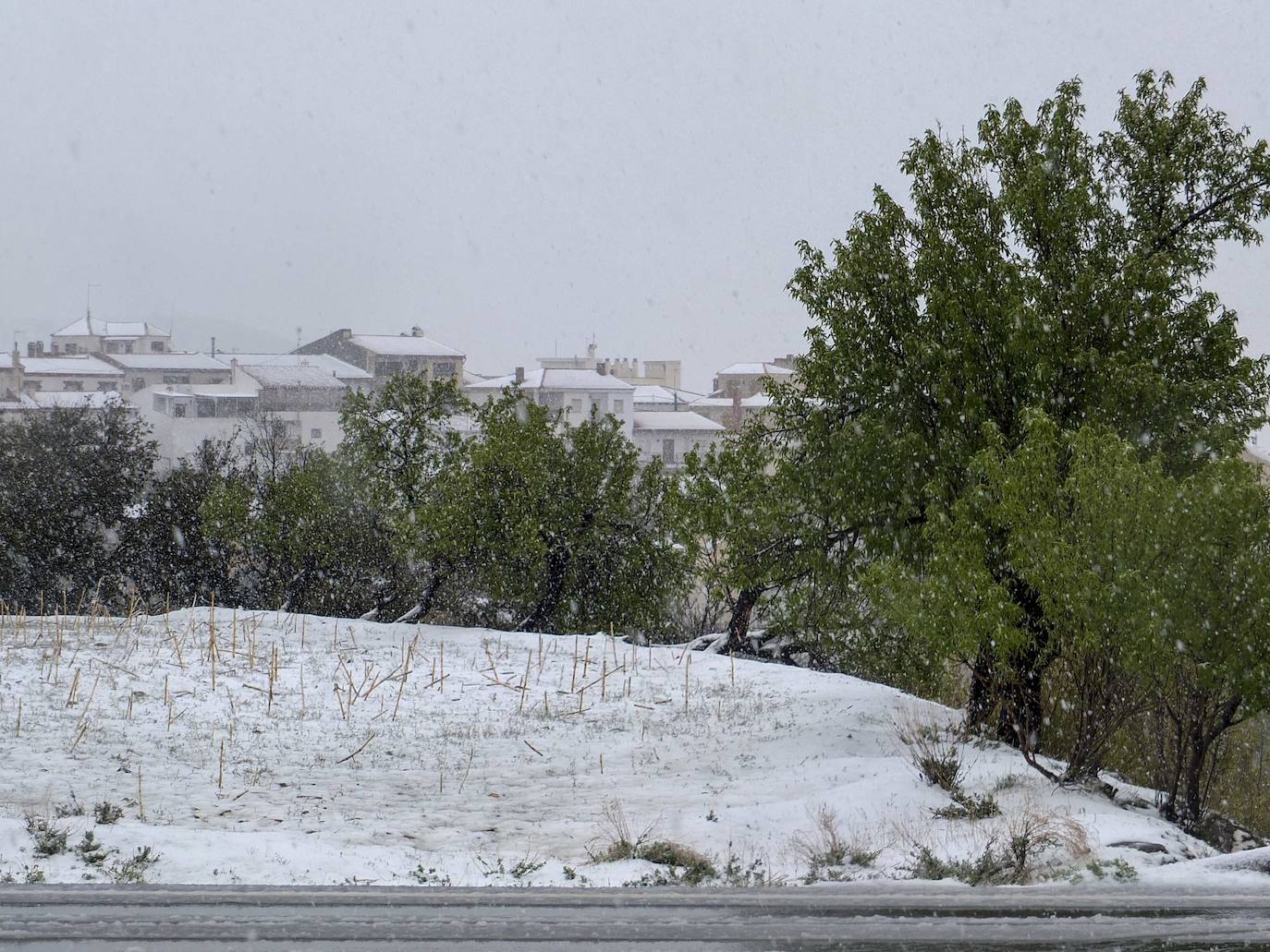 Nieva en el Marquesado del Zenete