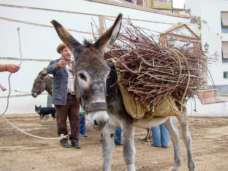 Guadix está presente en el recuerdo cinematográfico de Juan Pablo II