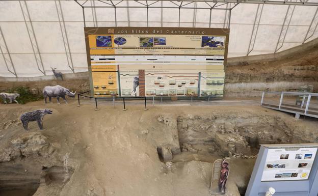 El Centro Paleontológico de Fonelas reabre sus puertas